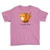 if it fits i sits Youth Tee