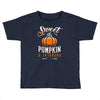 sweet as pumpkin pi Toddler T-shirt
