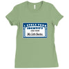 i stole your identity and now my life sucks Ladies Fitted T-Shirt