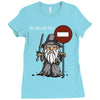you shall not pass!! Ladies Fitted T-Shirt
