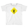 hobbit you shall not pass Toddler T-shirt