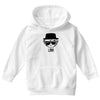 link Youth Hoodie
