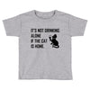its not Toddler T-shirt