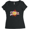 captain obvious Women's Triblend Scoop T-shirt