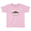 vintage genuine 1966 series all original parts Toddler T-shirt