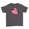 flying pig Youth Tee