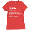 Feminism Noun Ladies Fitted T-Shirt