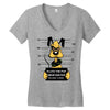 pluto Women's V-Neck T-Shirt