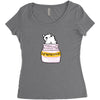 Antidepressant Cat Women's Triblend Scoop T-shirt