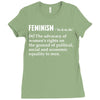 Feminism Noun Ladies Fitted T-Shirt