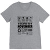 Born In November V-Neck Tee