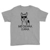 no drama llama Youth Tee