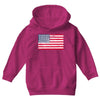 t-rex vintage american flag Youth Hoodie