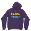 pansexual pride Unisex Hoodie