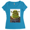 shrek mug shot funny Women's Triblend Scoop T-shirt