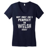 joke Women's V-Neck T-Shirt