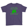 kiss me i't my birthday pi Youth Tee