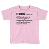 Feminism Noun Toddler T-shirt
