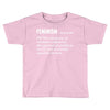 Feminism Noun Toddler T-shirt