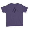 caffeine molecule t shirt coffee Youth Tee