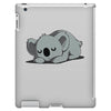professional naplete iPad 3 and 4 Case
