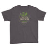 green dragon lager Youth Tee