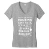camping fixes everything! Women's V-Neck T-Shirt
