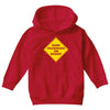 dark passenger on board Youth Hoodie