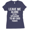 Leave Me Alone I Am Only Speaking To My Dog Today Ladies Fitted T-Shirt