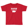 bacon is meat candy Toddler T-shirt