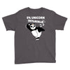 5 Percent Unicorn 95 Percent Ninja Youth Tee