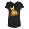 corgi pumpkin Maternity Scoop Neck T-shirt
