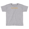 general leia organa Toddler T-shirt