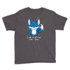 all the fox special Youth Tee