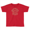 rock flag eagle national park Toddler T-shirt