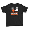 i'm the crazy cat lady Youth Tee
