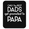 Only the best Dads Get Promoted to Papa Mousepad