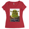 shrek mug shot funny Women's Triblend Scoop T-shirt