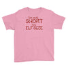 i'm not short i'm elf size Youth Tee