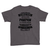 Super Cool Pawpaw Of A Freaking Awesome Grandson Youth Tee