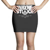 wayne's Mini Skirts