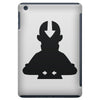 avatar the last air master iPad Mini