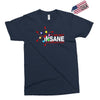 i am not insane inspired by the big bang theory, ideal birthday Exclusive T-shirt