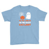 i'm the crazy cat lady Youth Tee