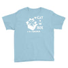 the cat in the box Youth Tee