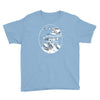 god save the quinn Youth Tee