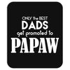 Only the best Dads Get Promoted to Papaw Mousepad