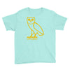 drake, ovoxo owl Youth Tee