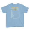 Gemini Facts Zodiac Youth Tee