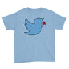 boy bird Youth Tee